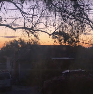 Meet your Posher, Lily